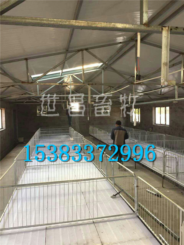 保定猪场安装自动上料系统——世昌畜牧李倩  猪用料线  自动化上料系统  自动化养猪设备
