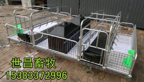 母猪产床养猪设备 双猪位产床厂家电话  母猪双体产床  猪用产床价格  定做猪用产床