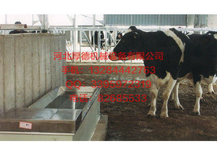 黑龙江自动保温饮水槽价格&nbsp;&nbsp;自动保温饮水槽厂家&nbsp;&nbsp;自动保温饮水槽批发