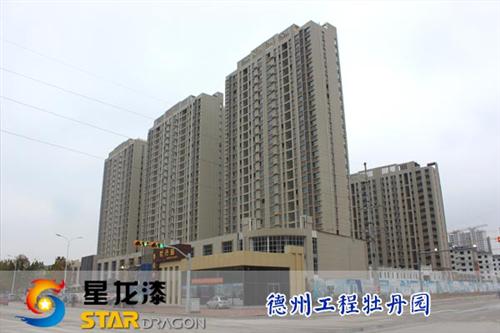 岩片漆和真石漆区别,岩片漆,星龙漆(图)  岩片漆厂家