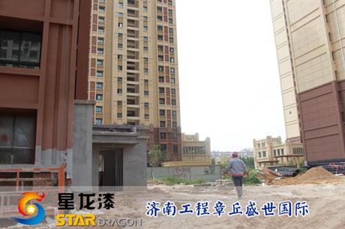 山东真石漆价格|真石漆|星龙漆(查看)  建筑专用真石漆