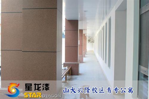 多彩漆|星龙漆|多彩漆厂家  安徽外墙多彩漆批  山东多彩漆生产厂