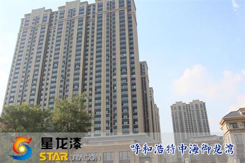 星龙漆|岩片漆|多彩岩片漆  岩片漆招商  岩片漆哪家好