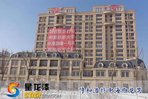 岩片漆_星龙漆_多彩岩片漆  岩片漆价格  岩片漆多少钱一平