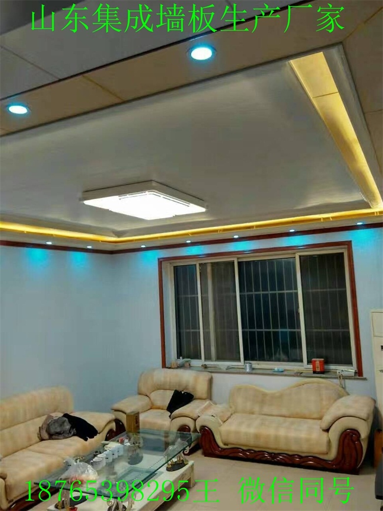 江苏常州集成墙面材质/别墅装修集成墙板免费加盟