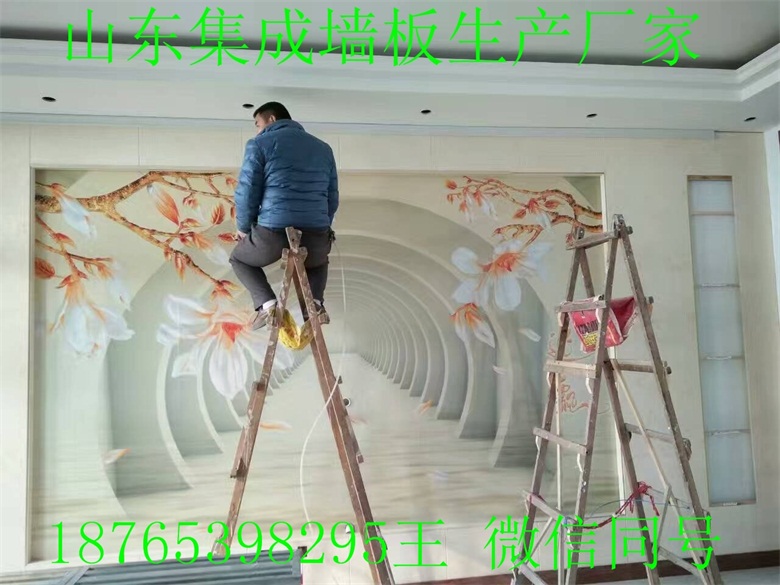 江苏常州集成墙面材质/别墅装修集成墙板免费加盟