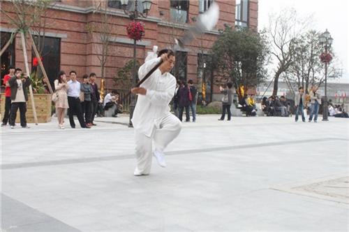 武汉陈氏太极拳60式新架二路、陈超太极会  武汉陈氏太极拳8  武汉陈氏太极拳5
