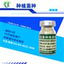 种植梨树上如何用益生菌原菌原液