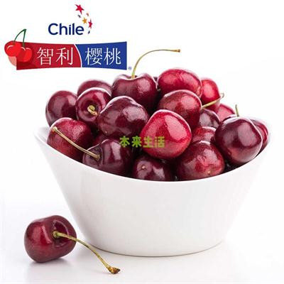 美国进口樱桃大连报关