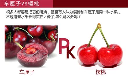 土耳其进口樱桃广州机场报关  进口樱桃报关