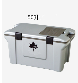 供四川LB-BCD52压缩机制冷冷藏箱厂家 多容量可选 52L冷藏箱