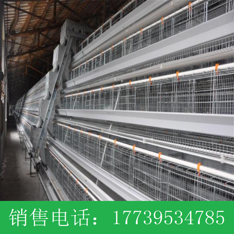肉鸡笼鸡笼种类齐全三层两门层叠式肉鸡笼热镀锌肉鸡笼