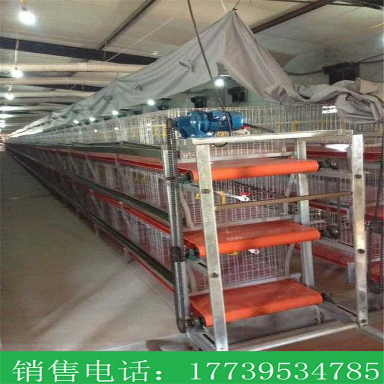 肉鸡笼鸡笼种类齐全三层两门层叠式肉鸡笼热镀锌肉鸡笼