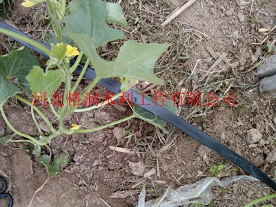 滴灌PE管河北承德承德县膜下滴灌带型号齐全