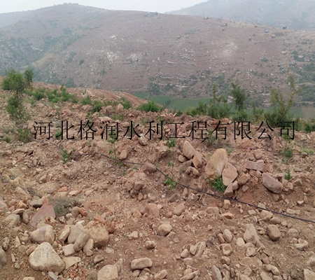 北京怀柔PE管价格-果树滴灌生产厂家