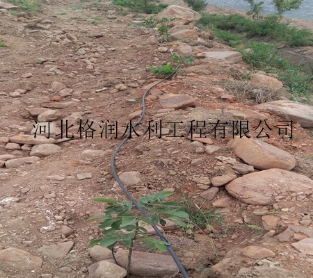 河南果树滴灌生产厂家 微喷带批发