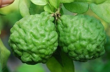 大连进口车厘子报关手续资料办理公司  万享  清关