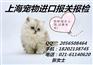 大小型宠物进口报关代理