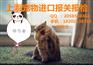 中国宠物进口报关知识