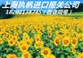 中国上海鲜花报关报检时效