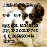 各型宠物上海进口报检