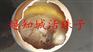 南京活珠子_南京活珠子价格_南京活珠子厂家