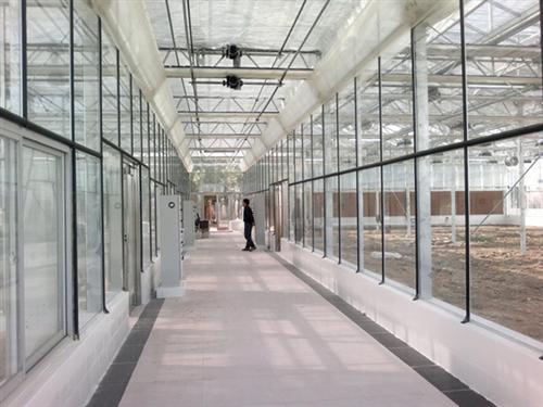 合肥建野温室大棚厂家|安徽温室大棚|温室&nbsp;&nbsp;新型温室大棚&nbsp;&nbsp;温室大棚造价&nbsp;&nbsp;温室大棚公司