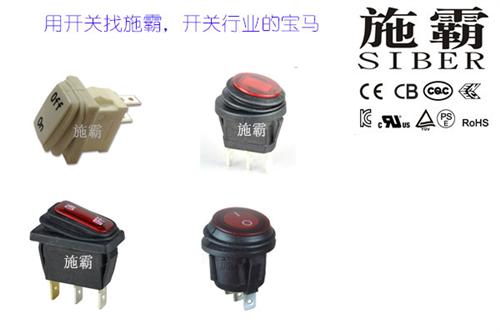 防水防尘船型开关、施霸、防水防尘船型开关  供应防水防尘船型  RL2(P)防水
