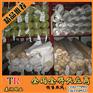 建邺区不锈钢方眼网、泰润网业、输送用不锈