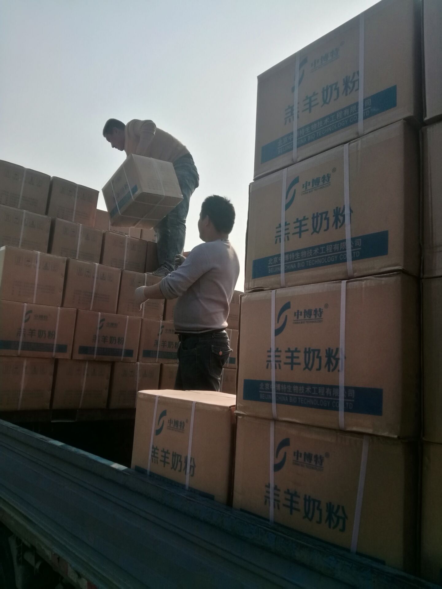 跨省增肥羔羊奶粉  小羊奶粉  羊羔奶粉