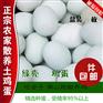 绿壳乌鸡蛋,绿壳乌鸡蛋图片介绍_绿壳乌鸡蛋的营养价值