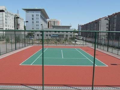 重庆区域专业重庆塑胶球场公司：重庆塑胶球  重庆塑胶球场厂家  重庆塑胶球场出售