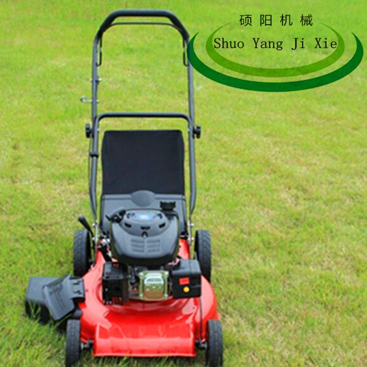 厂家直销手推式汽油草坪机 割草机  手推式割草机