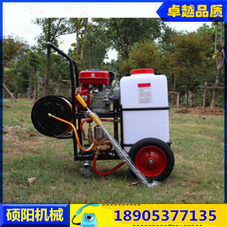 生产厂家SY-60L园林手推式喷雾器动力喷雾机  手推式打药机  动力喷雾器