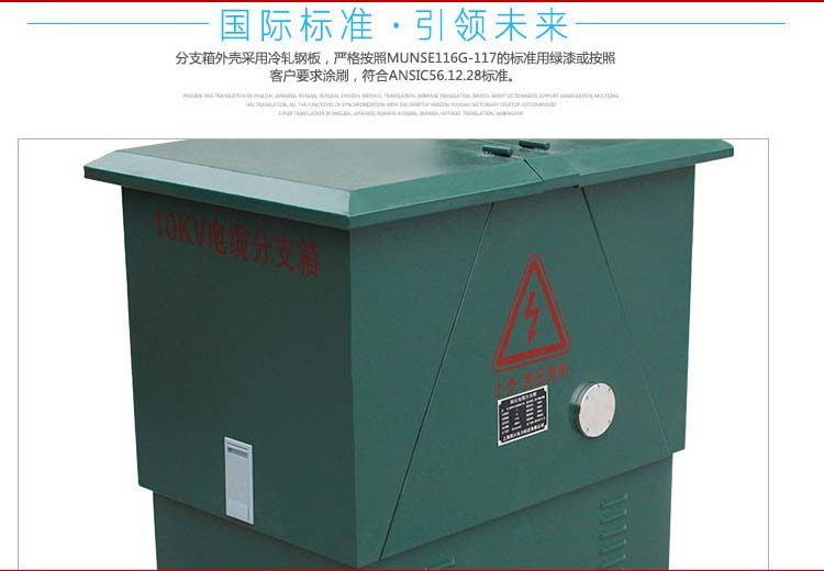 DFW-12电缆分接箱，一进三出，厂家直销DFW分支箱