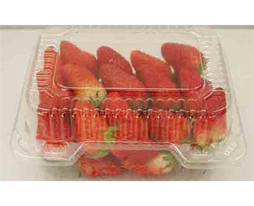 食品吸塑盒厂|宣城食品吸塑盒|合肥银泰(&nbsp;&nbsp;食品吸塑盒商家&nbsp;&nbsp;食品吸塑盒批发