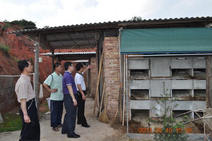 张家口供应猪场卷帘布 养殖场卷帘布定做批发  猪舍卷帘布  搭棚篷布
