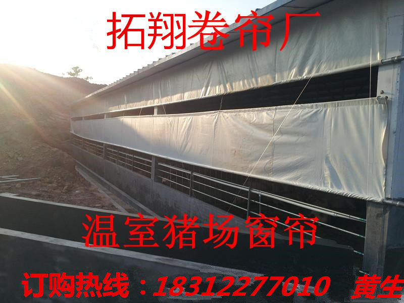 湖北供应猪场卷帘布  养殖场卷帘布批发定做  盖货帆布