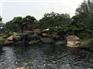 北京水池设计,金碧林,景观水池设计
