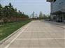 五莲花干挂板价格_五莲花_中兴石材(多图