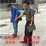 园林白蚁防治/家庭白蚁预防/园林白蚁