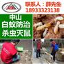 中山白蚁防治/园林白蚁防治方法/白蚁防治