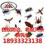 中山园林杀虫公司/中山小区杀虫哪家好/中