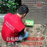 家庭灭鼠哪家好_中山工厂灭鼠_中山工厂灭