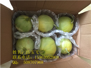 特价销售甜瓜气柱袋厂家??烟台甜瓜气柱袋  缓冲袋