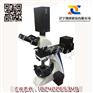 厂家出售MY6000A型孔隙构造检测好品质