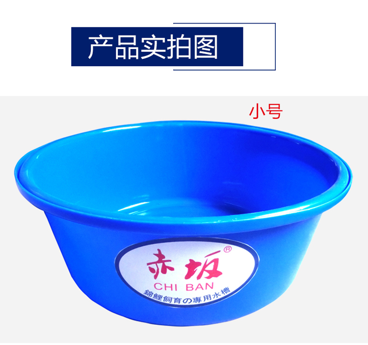 17年东莞赤坂锦鲤展示盆批发