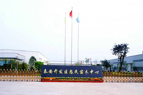 泰安开发区忠民苗木中心