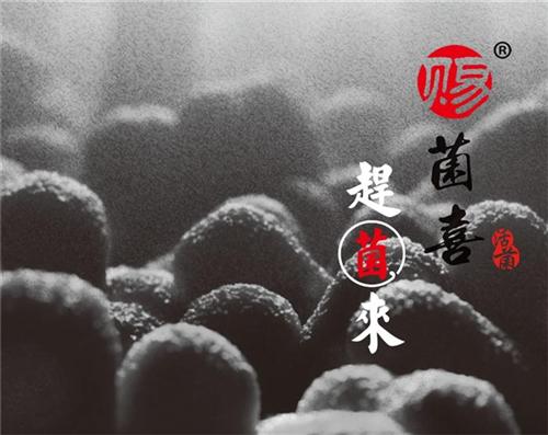 生物肥料赶菌来,赶菌来,苏菲格耳国际贸易&nbsp;&nbsp;台湾翔云赶菌来&nbsp;&nbsp;赶菌来肥料