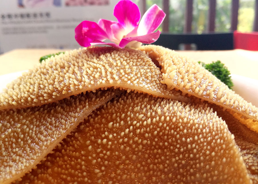 黄牛毛肚（大叶片）  水发  火锅